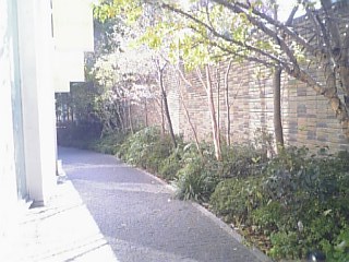 DVC00008_M.JPG