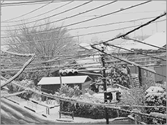 節分 大雪