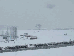 雪景色