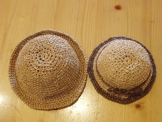 普通サイズと比較