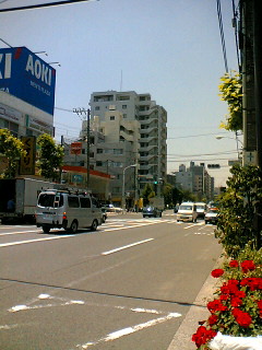 100602_1146~01.JPG