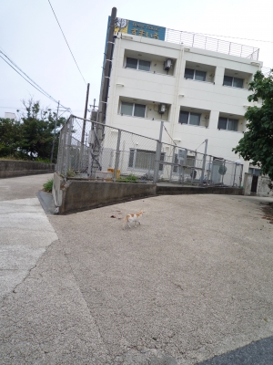 P1000134.JPG