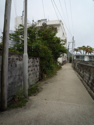 P1000136.JPG