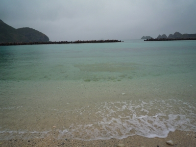 P1000142.JPG
