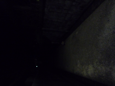 P1000150.JPG