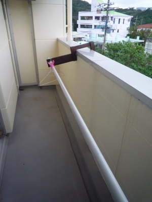P1000173.JPG