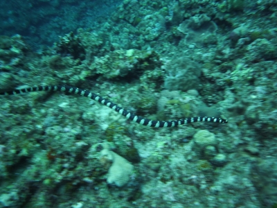 P1000198.JPG
