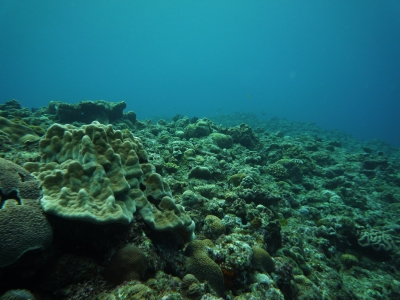 P1000201.JPG