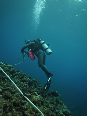 P1000205.JPG