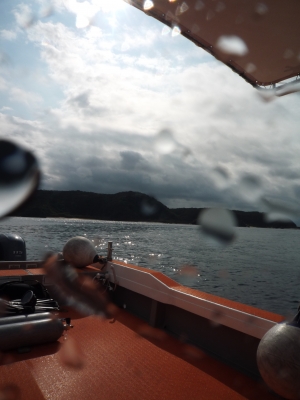P1000207.JPG