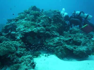 P1000211.JPG