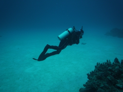 P1000223.JPG