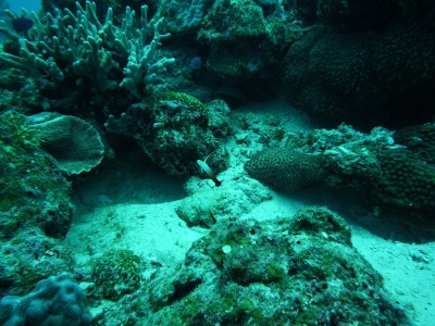 P1000229.JPG