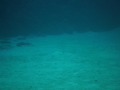 P1000234.JPG