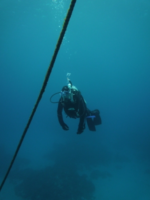 P1000239.JPG