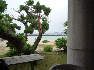 P1000256.JPG