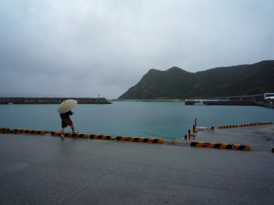P1000261.JPG