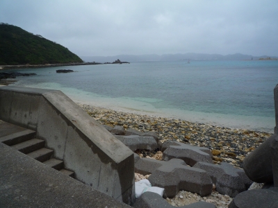 P1000264.JPG