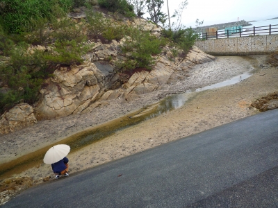 P1000266.JPG