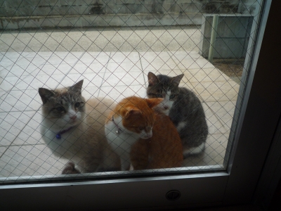 P1000268.JPG