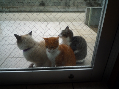 P1000269.JPG