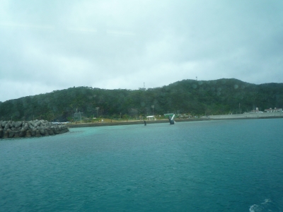P1000272.JPG