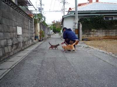 P1000280.JPG