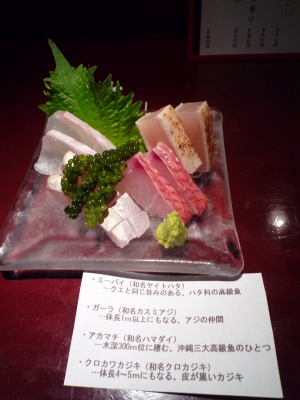P1000300.JPG