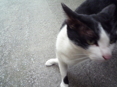 P1000353.JPG