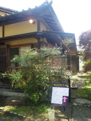 suzu_03.jpg