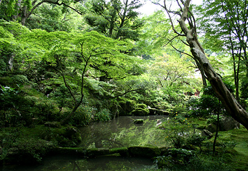 金剛輪寺庭園
