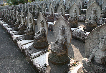 擽野寺