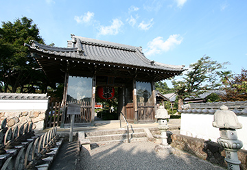 擽野寺3