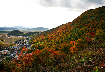 太郎坊宮の紅葉
