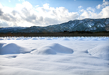 マキノ雪景色