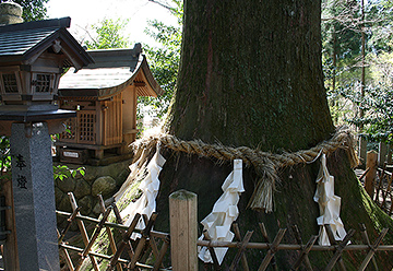 若宮神社2