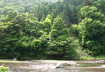 キッチン四季の裏の川