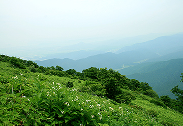 伊吹山の写真1