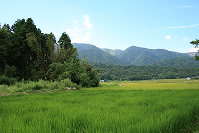 マキノの景色