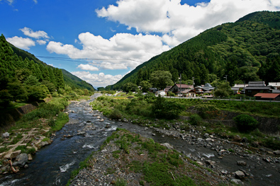朽木の景色