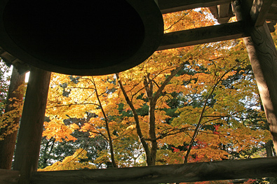 鶏足寺の紅葉