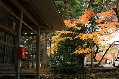 鶏足寺の紅葉