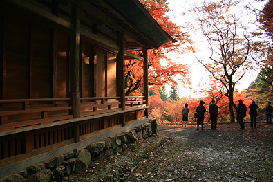 鶏足寺の紅葉