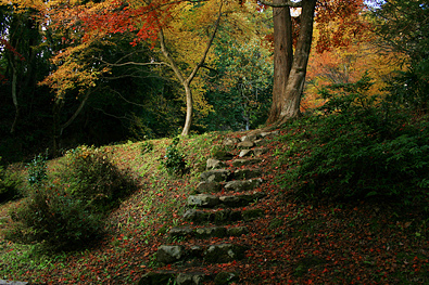 鶏足寺の紅葉