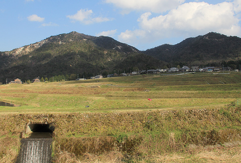 かものしらべからの景色