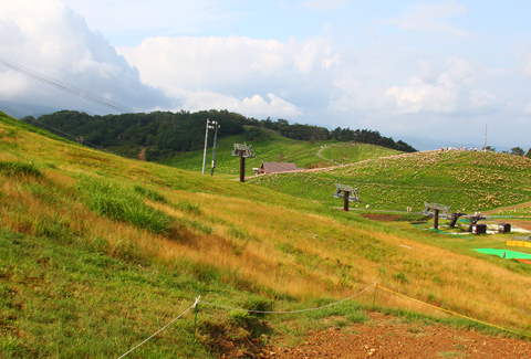 箱館山ゆり園