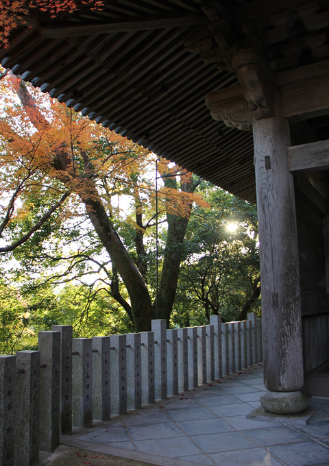 永源寺の紅葉
