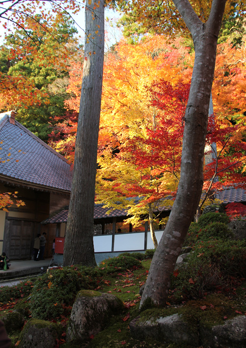 永源寺の紅葉