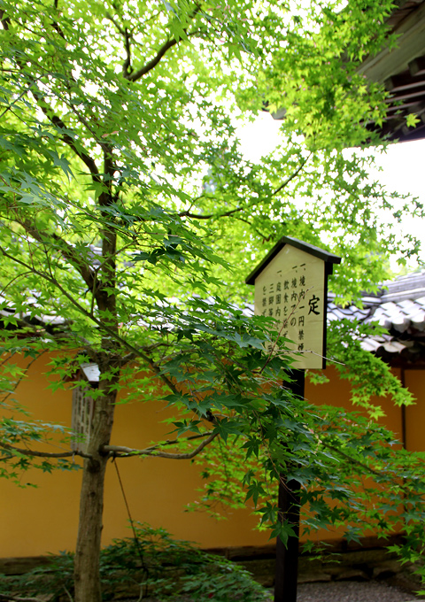 湖東三山 西明寺