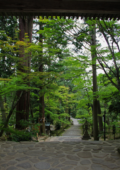 湖東三山 西明寺